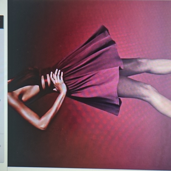 Express Coctail Dress - Picture 5 of 6